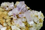 Gorgeous, Amethyst Crystal Cluster - Las Vigas, Mexico #165625-2